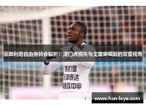 菲奥利奇自由身转会解析:津门虎损失与戈里察崛起的双重视角 菲奥利奇自由身转会解析:津门虎损失与戈里察崛起的双重视角