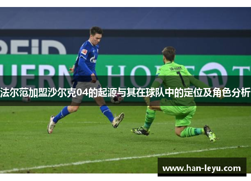 法尔范加盟沙尔克04的起源与其在球队中的定位及角色分析