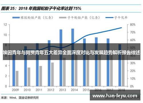 埃因青年与阿贾青年五大差异全面深度对比与发展趋势解析报告综述 埃因青年与阿贾青年五大差异全面深度对比与发展趋势解析报告综述