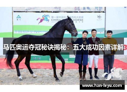 马匹奥运夺冠秘诀揭秘:五大成功因素详解 马匹奥运夺冠秘诀揭秘:五大成功因素详解