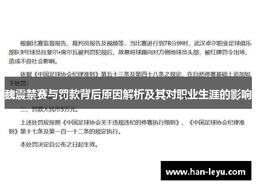 魏震禁赛与罚款背后原因解析及其对职业生涯的影响