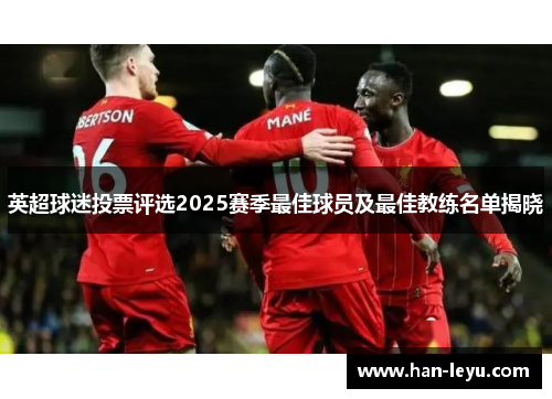 英超球迷投票评选2025赛季最佳球员及最佳教练名单揭晓