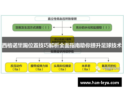 西格诺里踢位置技巧解析全面指南助你提升足球技术 西格诺里踢位置技巧解析全面指南助你提升足球技术